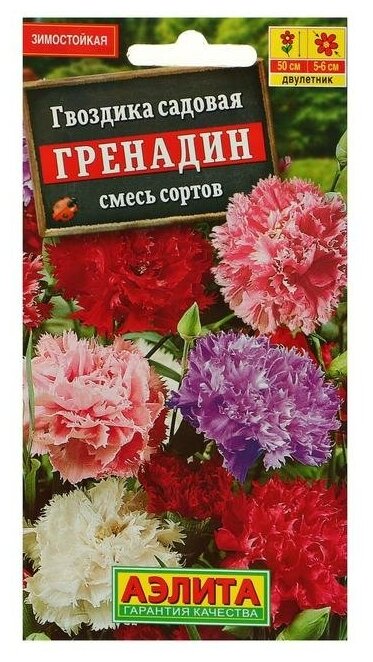 Семена цветов Гвоздика "Гренадин", турецкая, 0,1 г