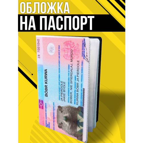Обложка для паспорта , голубой/розовый