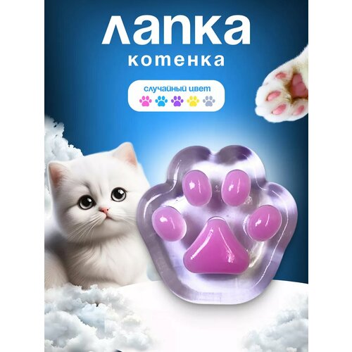 Мини лапка котенка