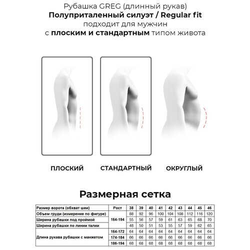 фото Рубашка мужская длинный рукав greg 221/191/8044/z 174-184 44