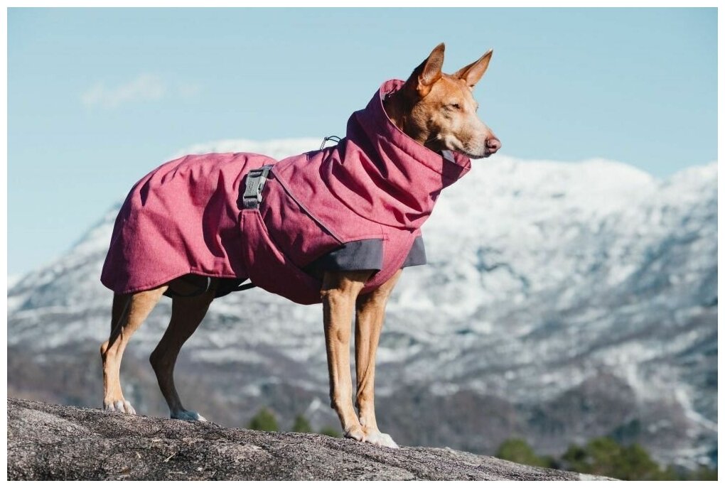 Hurtta Expedition Parka - Тёплая куртка для собак, красная 7093 Размер 50 - фотография № 4