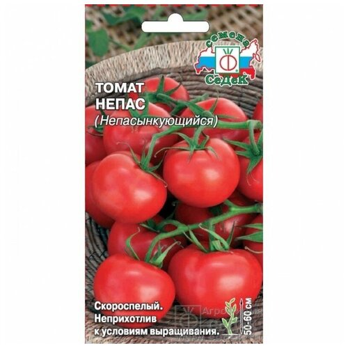Семена СеДек Томат Непас Непасынкующийся семена томат непас 12 крупный непасынкующийся