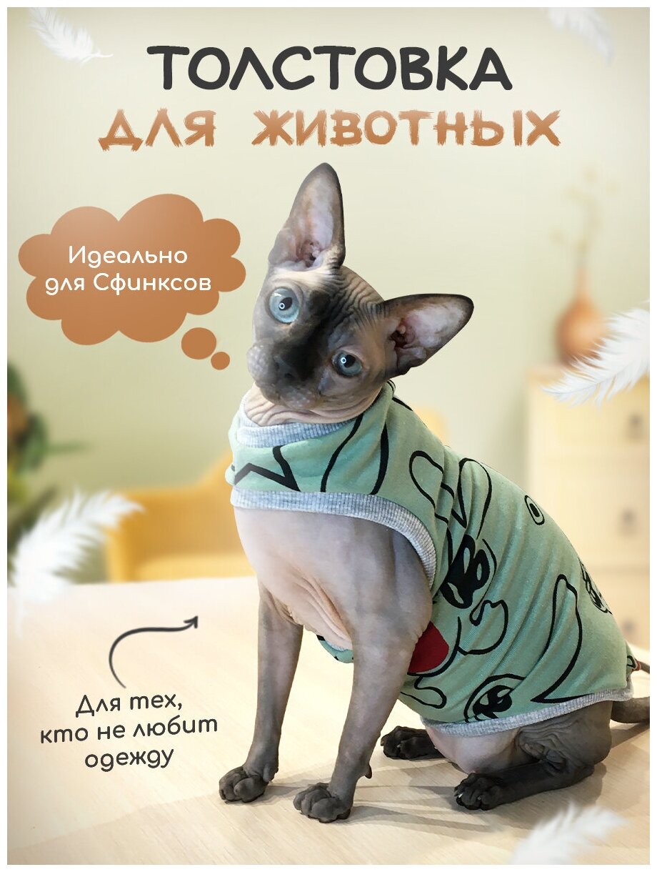 Одежда для животных кошек сфинкс и собак мелких пород - фотография № 1