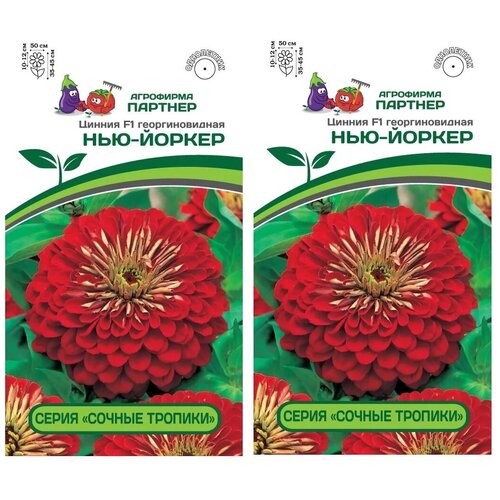 Семена Цинния F1 нью-йоркер /Агрофирма Партнер/ 2 упаковки по 4 шт. семян набор семян цветов 4 агрофирма партнер