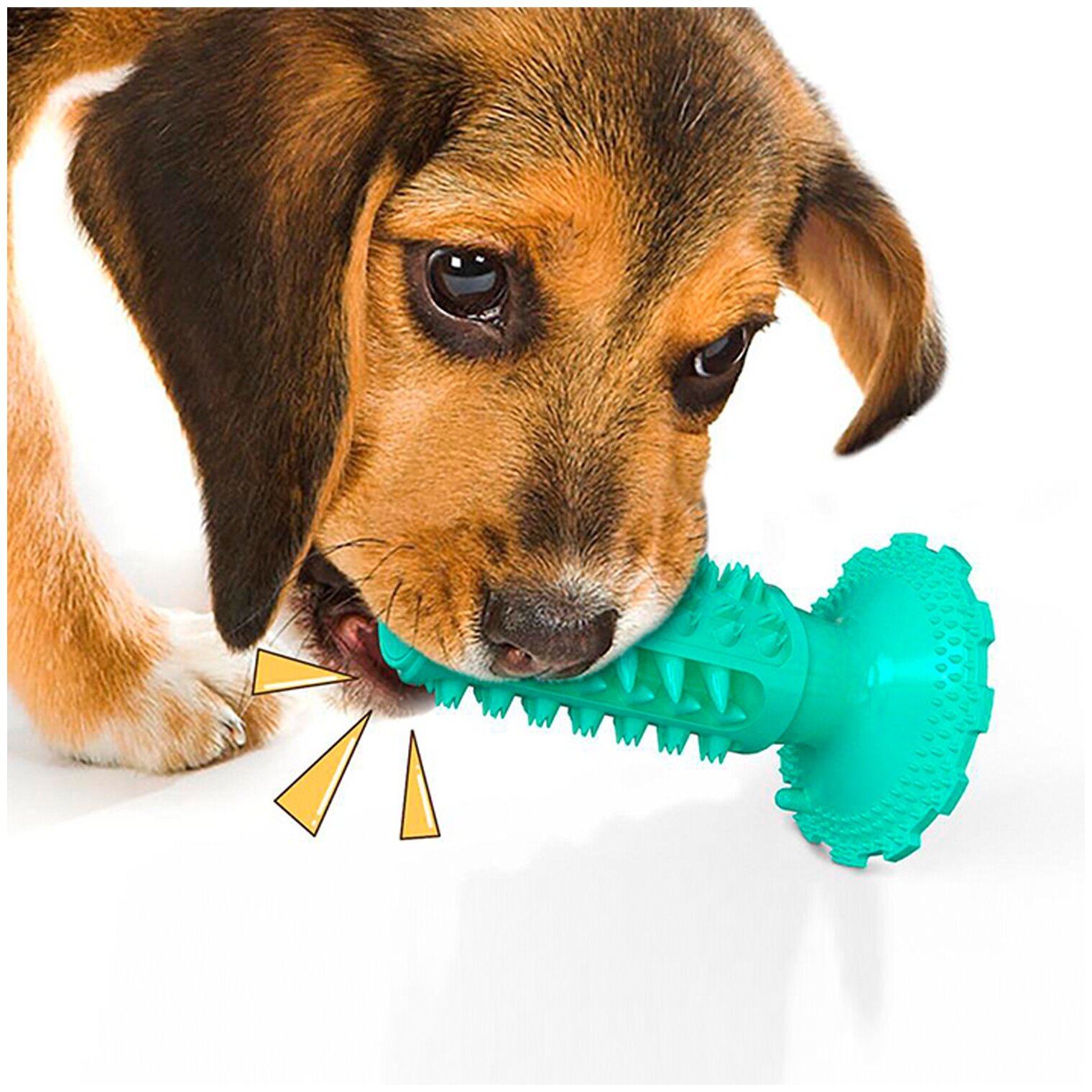 Игрушка для чистки зубов для собак с пищалкой, цвет бирюзовый, 15х5 см - фотография № 3
