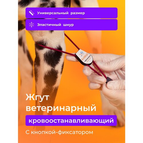 Жгут ветеринарный кровоостанавливающий с фиксатором AniMall / Бордовый