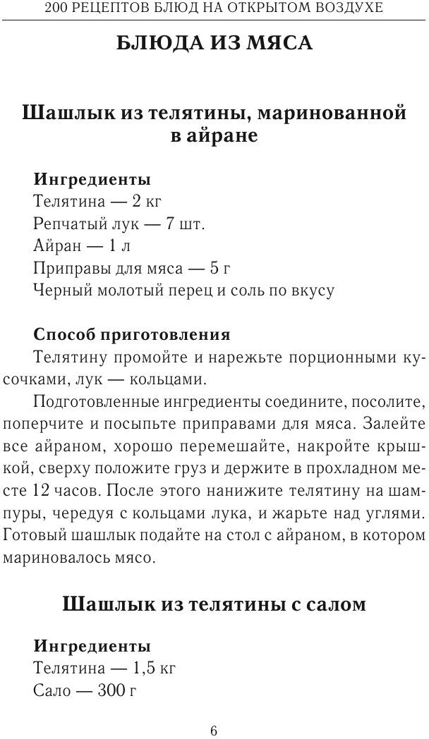 200 рецептов блюд на открытом воздухе - фото №5