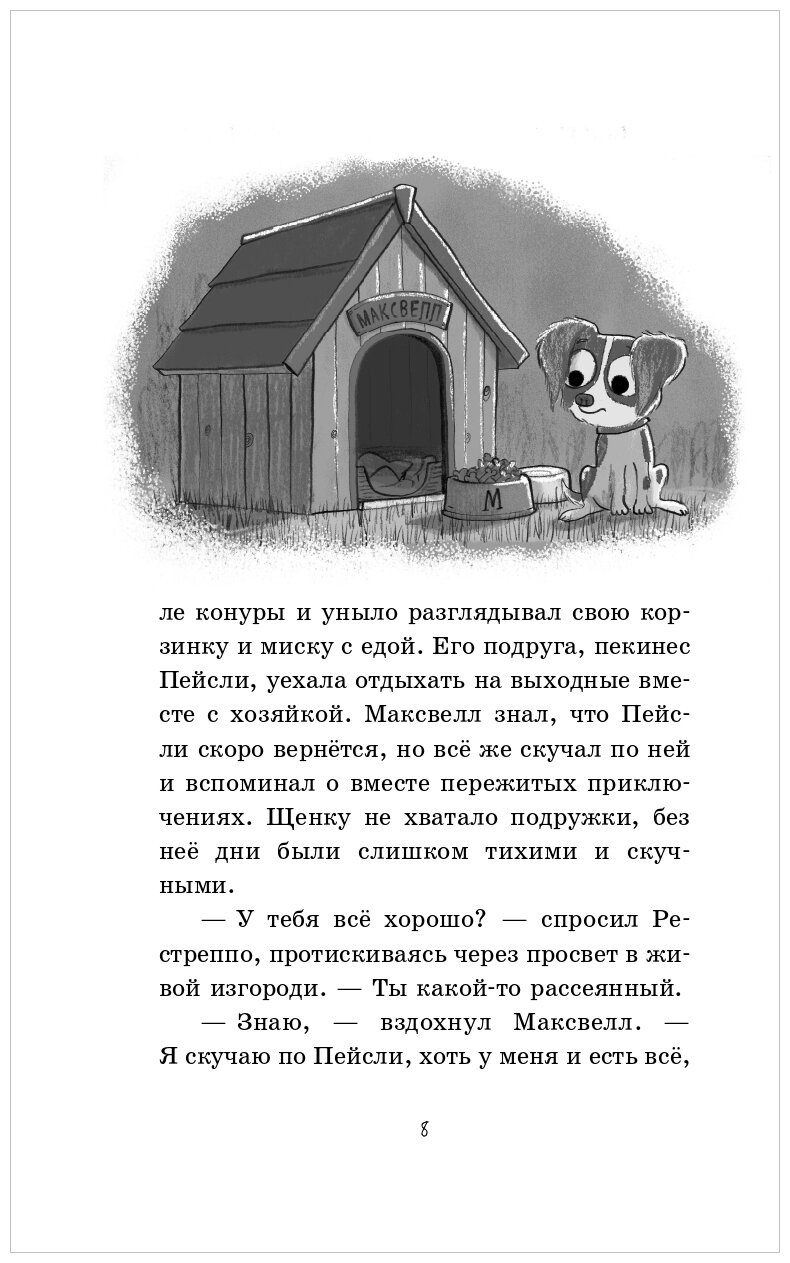 Детектив для бельчонка (Щенок Максвелл и хвостатая команда) - фото №4