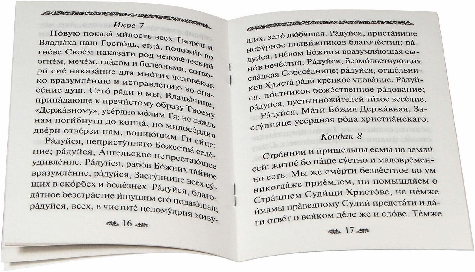 Акафист Пресвятой Богородице в честь иконы Ее Державная - фото №4