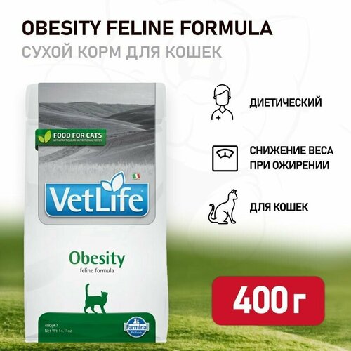 Farmina Vet Life Cat Obesity Сухой корм для кошек для снижения избыточного веса, 400 г