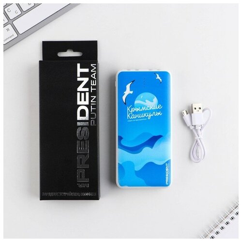 Зарядное устройство Крымские каникулы 8000мА модель PB-23 145 х 69 см 228800₽