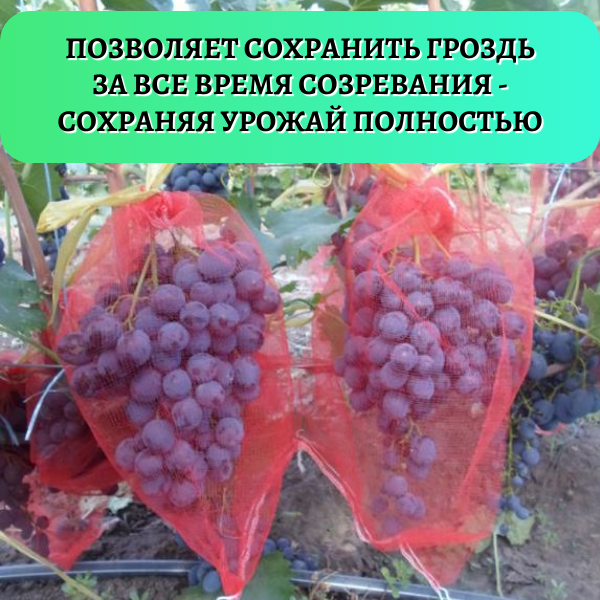 Мешочки для винограда от ос сетчатые 25х44 см, 25 шт. Благодатное земледелие - фотография № 5