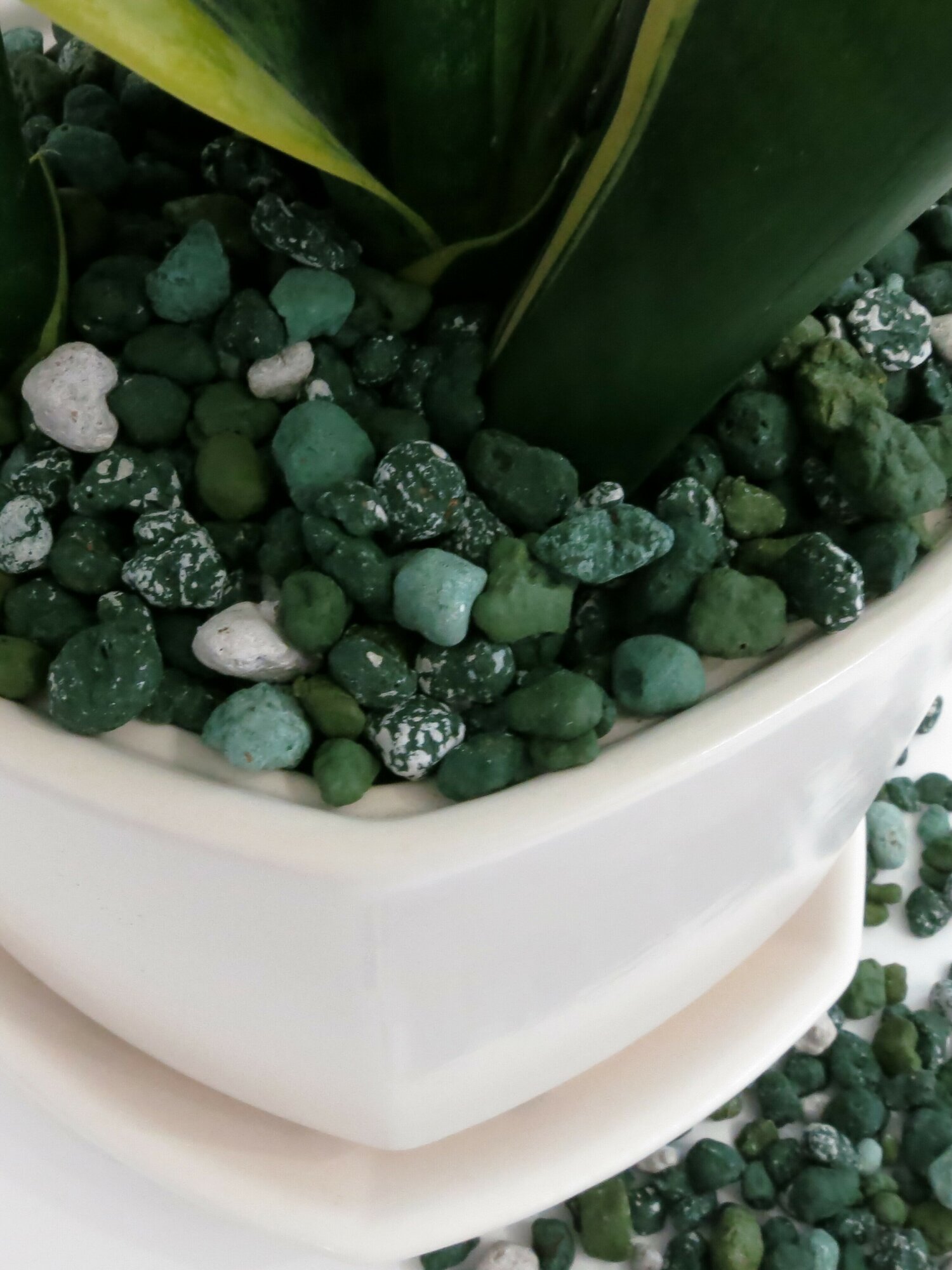 Керамзит декоративный микс зеленый для комнатных растений и цветов. 1 л. Фр. 5-10 мм - фотография № 8