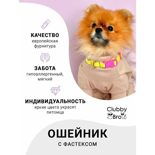Clubby Bro Ошейник для собак мелких пород и средних пород, неон-розовый, размер S