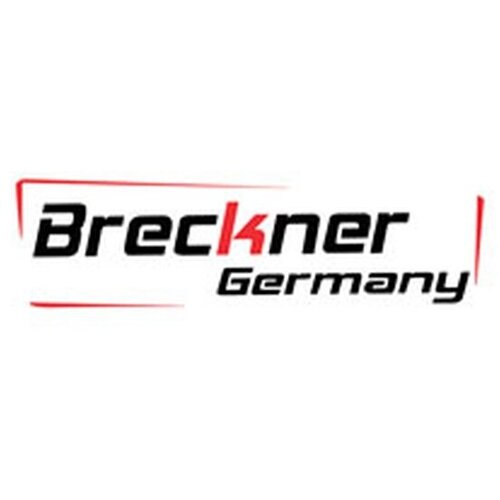 BRECKNER BK72312 К-т фонари Re тюнинг (стекл. белый) RE Logan 04-