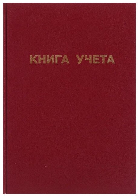 Книга учета, 96 листов, обложка бумвинил, блок офсет, клетка, цвет бордовый