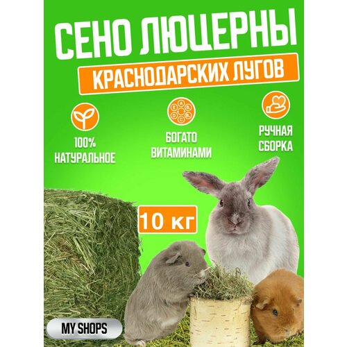 Сено Люцерны 10кг