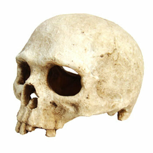 Декорация для аквариума EXOPRIMA 