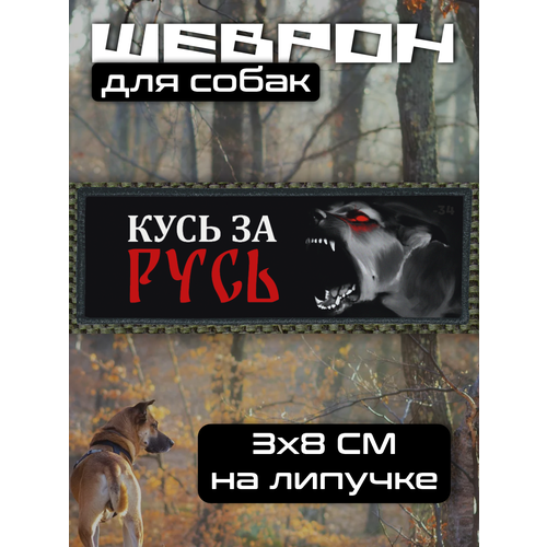 Шеврон на липучке для собак Кусь за Русь 330₽