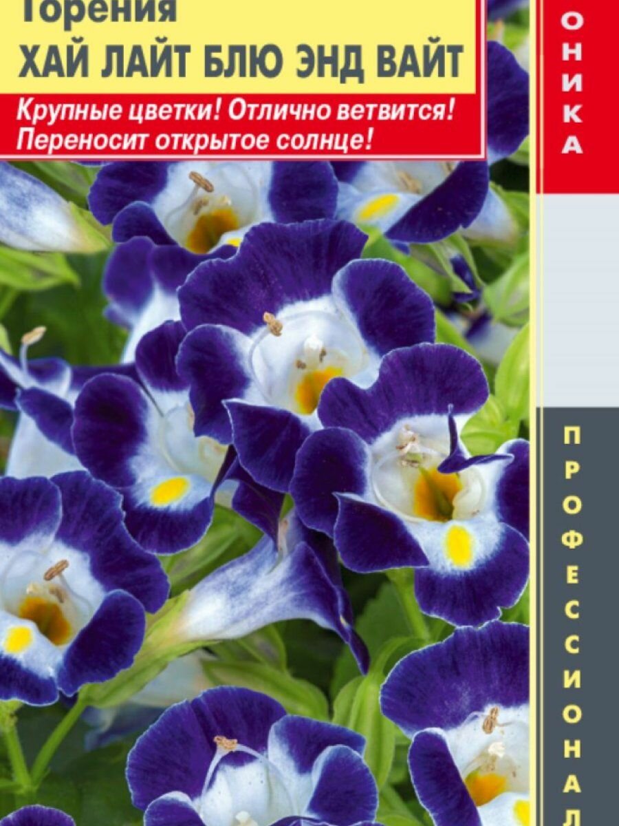 Семена Торения (серия Hi Lite) Хай лайт Блю энд Вайт 4 шт Плазменные семена