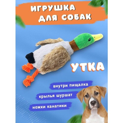 Игрушка Утка с пищалкой для собак милая плюшевая игрушка в виде утки пищалка для животных игрушка для собак чистящие зубы для маленьких собак высококачественные товары дл