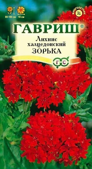 Лихнис халцедонский Зорька 01г