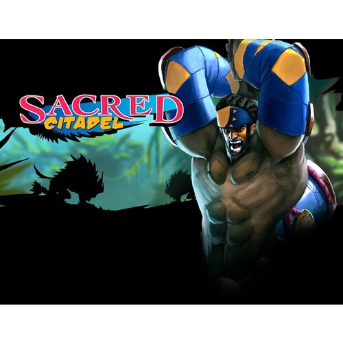 Sacred Citadel, электронный ключ (активация в Steam, платформа PC), право на использование