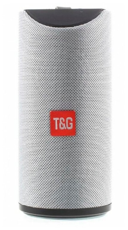 Портативная акустика T&G TG113, 10 Вт, серебряный