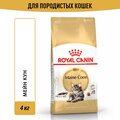 Корм для кошек Royal Canin Maine Coon Adult (Майн Кун Эдалт) Корм сухой сбалансированный для взрослых кошек породы Мэйн Кун, 4 кг