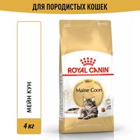 Корм для кошек Royal Canin Adult Мейн-кун 4 кг