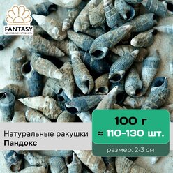 Натуральные ракушки FANTASY Пандокс, природные материалы для рукоделия, размер - 2-3 см, отборные, набор весом 100 г (110-130 шт.), морская раковина