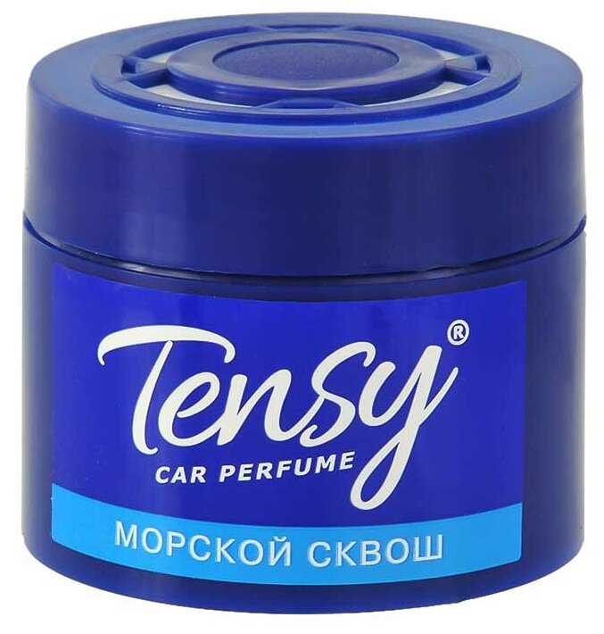 TENSY TZ03 Ароматизатор tensy (tz-03) на панель, гель, банка морской сквош