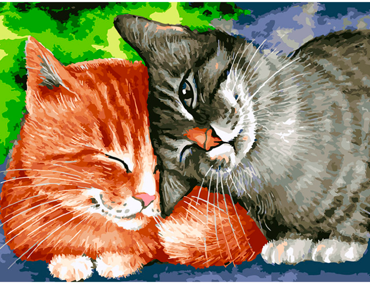Картина по номерам Белоснежка "Кошачьи ласки" / Раскраска / Холст на подрамнике 30х40 см. / Домашние животные / Коты