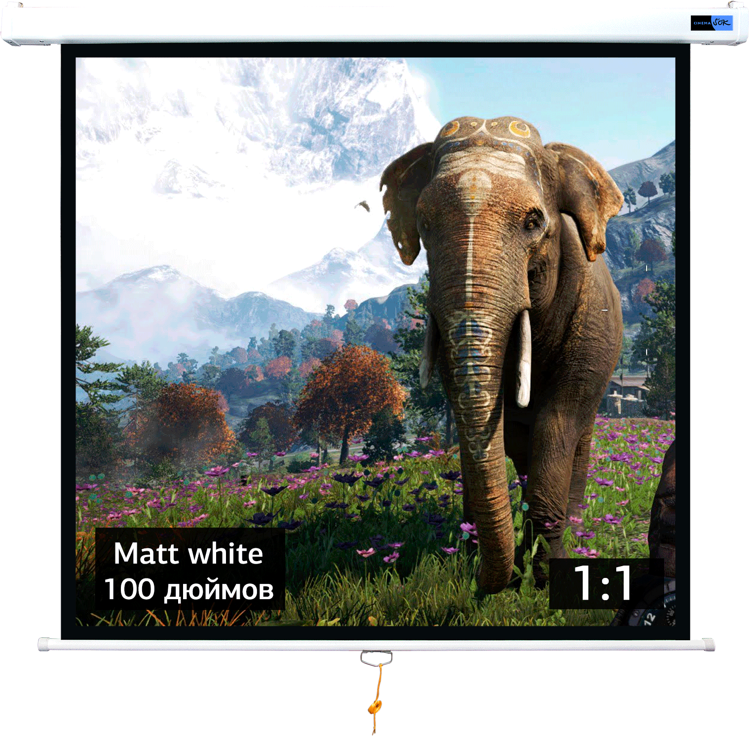 Экран для проектора SOK SCPSW-180x180 100 1:1 настенно-потолочный, ручной, матовый, белый