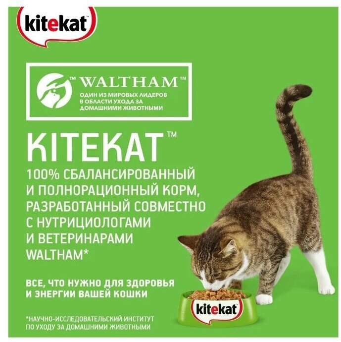 Сухой корм для кошек 800гр х 2шт Kitekat Курочка Аппетитная - фотография № 7