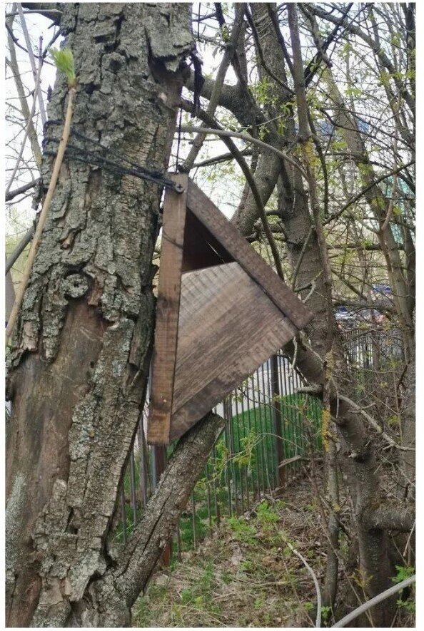 Деревянный скворечник-пищушник для птиц пищух "Пищухин дом" из дерева сосны, собранный, WS-002 - фотография № 14