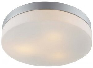 Светильник настенно-потолочный для ванной Aqua 3х60Вт E27 230В металл крашеный серебро