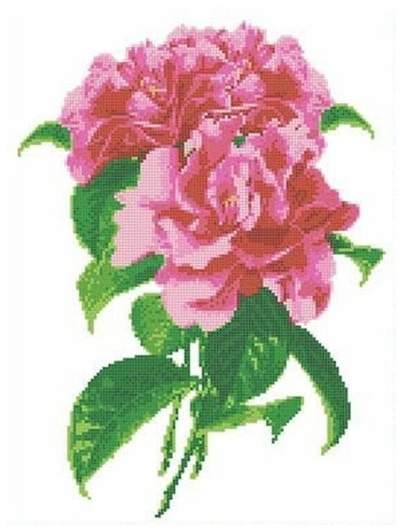 Рисунок на ткани Каролинка "Камелия", 23x30 см