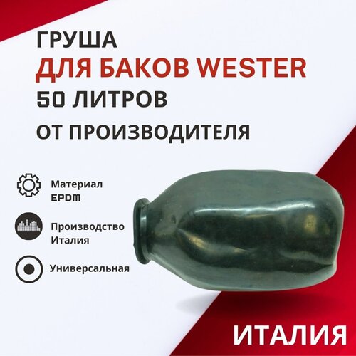 производственный расширительный бак wester wester wrv 50 Груша Wester 50 литров (grushaWester50)