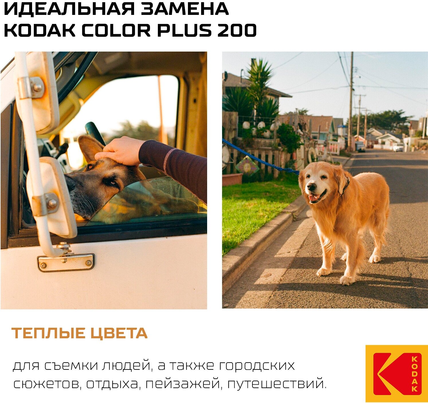 Фотопленка цветная с теплыми оттенками 24 кадра Kodak 250D