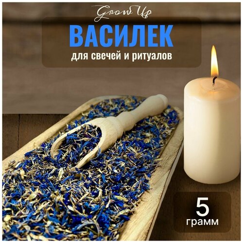 Сухая трава Василек (лепестки) для свечей и ритуалов, 5 гр сухая трава василек цветы для свечей и ритуалов 10 гр