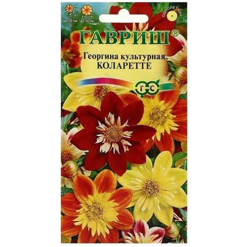 Семена цветов Георгина Коларетте, 0,2 г 6 упаковок