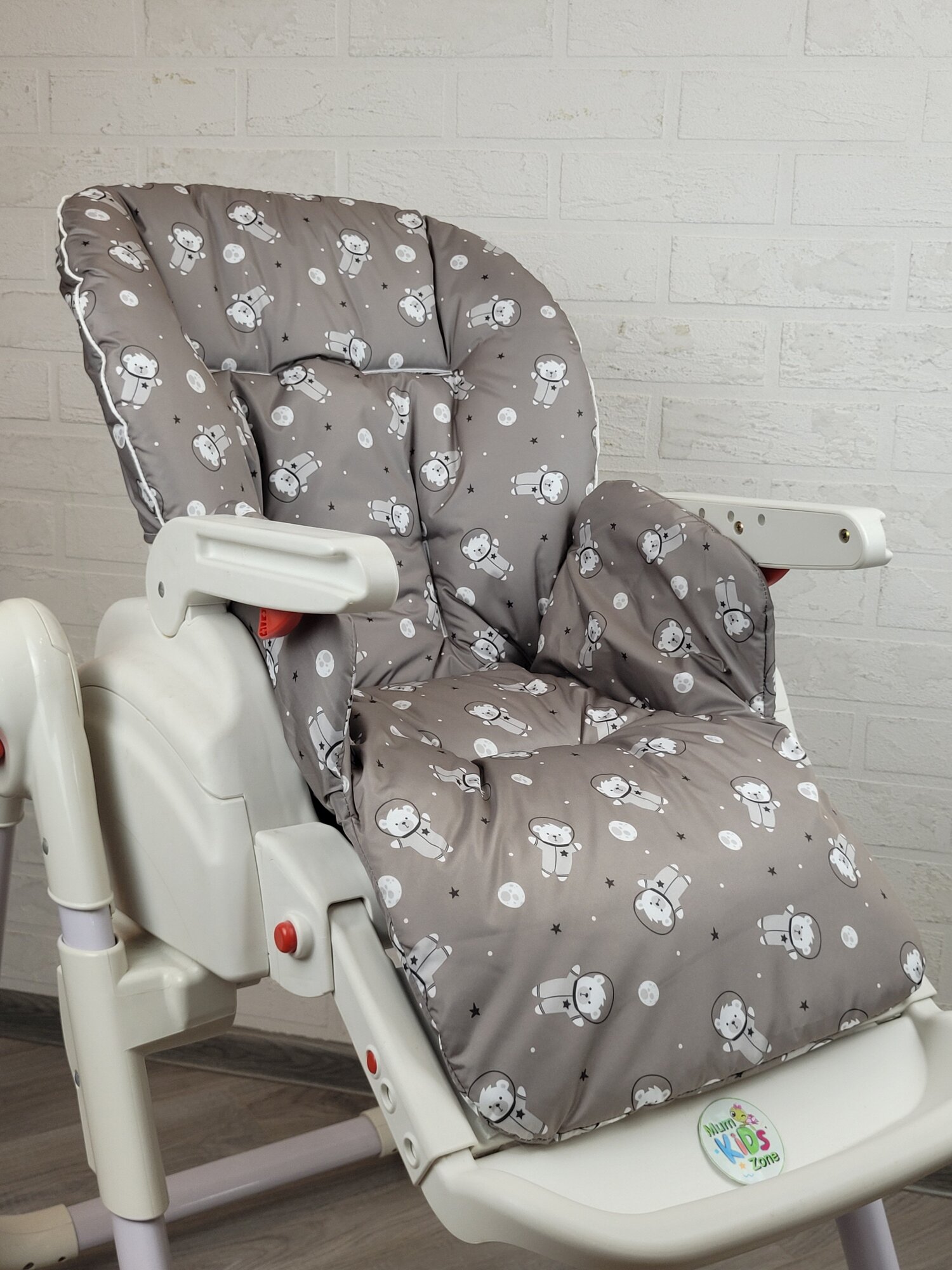 фото Мишка в космосе