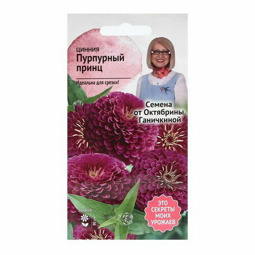 Семена Цветов Цинния Пурпурный принц, 0.5 г цинния изящная пурпурный принц