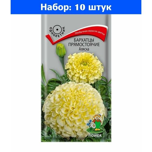 Бархатцы пр. Аляска 0,4г 60см (Поиск) - 10 пачек семян