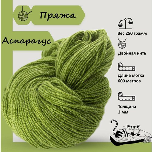 Карачаевская пряжа мягкая в пасмах нитки 100 % акрил для вязания 600-650м/250-280гр, Аспарагус