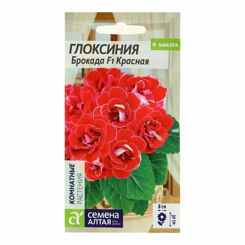 Семена комнатных цветов Глоксиния Брокада Красная,8 шт 1 упаковка