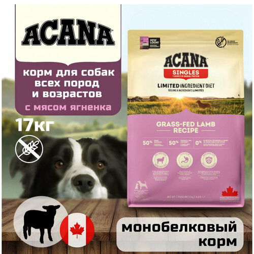 Корм сухой для собак ACANA Grass-Fed Lamb 17 кг, (ягненок и яблоко) Гипоаллергенный