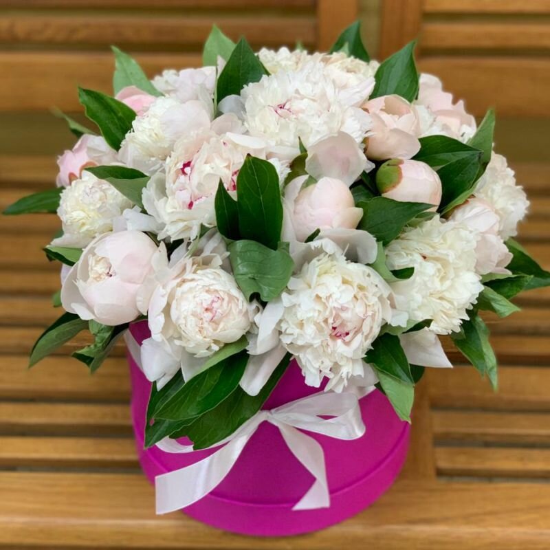 Живые цветы букет белых пионов в коробке 25 шт Аромат любви