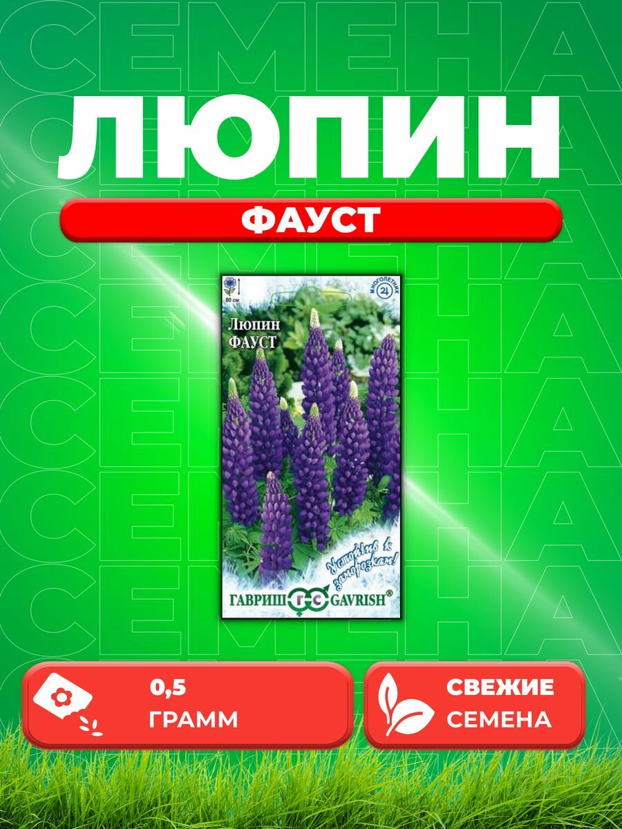 Люпин Фауст (многолистный)0,5г. Устойчив к заморозкам!